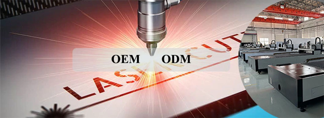 OEM ODM 1000W-6000W 3015 Industrial CNC Metal Sheet Fiber Laser Cutting Machine