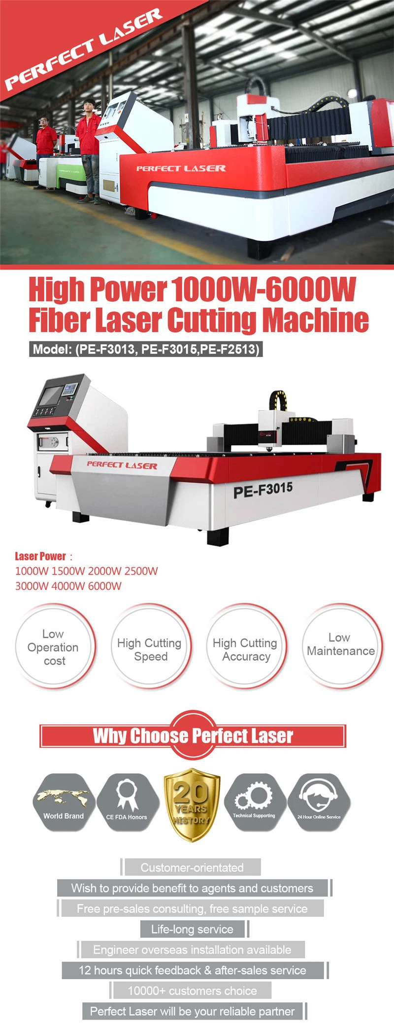 Perfect Laser 1000W High Precision Ss CS Ms CNC Metal Stainless 3teel Laser Cutter Cutting Machine