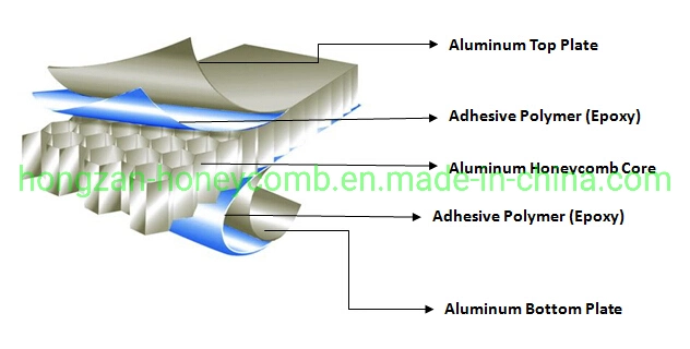Aluminum Curved Honeycomb Panel Aluminum Composite Panel for Wall Cladding