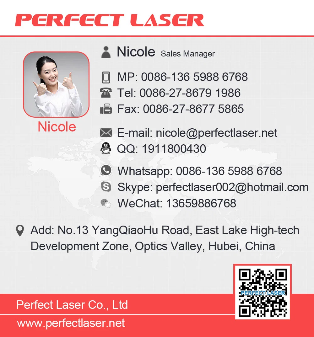 Perfect Laser-20W 30W 50W 100 Watts Metal Stainless Steel Brass Ipg Raycus Max Jpt Mopa Wuhan Fiber CNC Laser Marker Engraving Marking Etching Machines Price