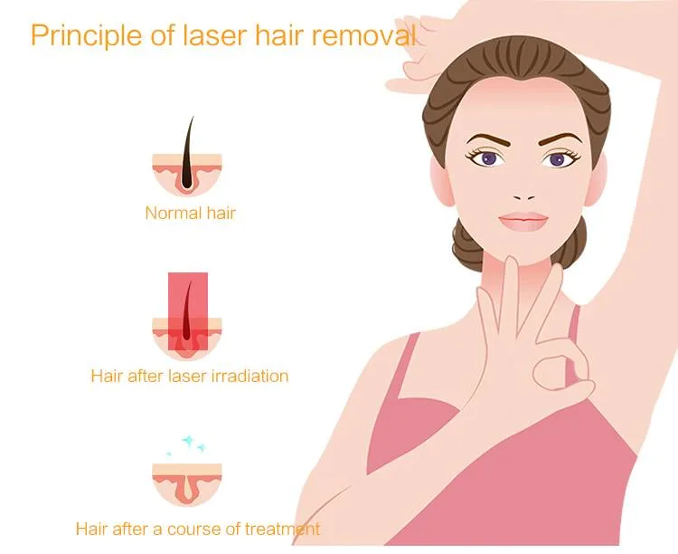 Top-Ranking Beauty Machine 3 Wavelength Diode Laser Hair Removal Machine