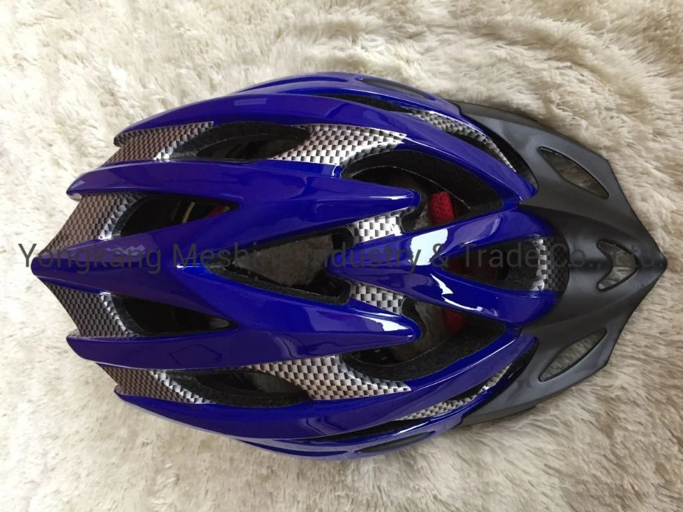 Promotion High Quality Delicate Exquisite Cycle Helmet Bicycle Sport Bike