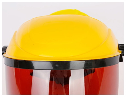Portable Plastic Helmet PC Pet Transparent Visor Faceshield with Colorful Helmets