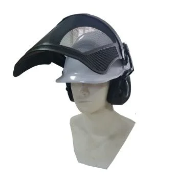 Multi-Color Lightweight HDPE Plastic Construction Safety Helmet with Visor