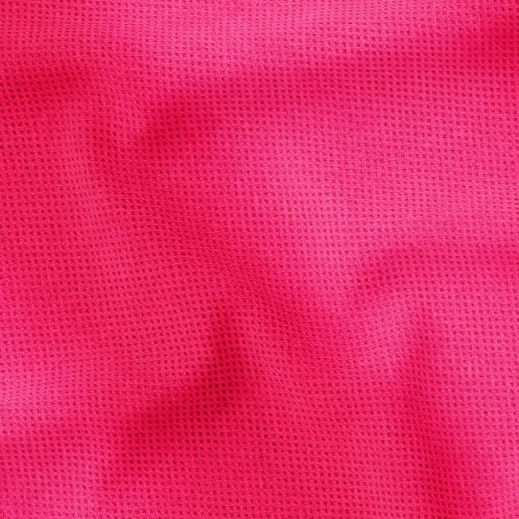 Plum Eco-Friendly Polypropylene Spun Bond Cloth