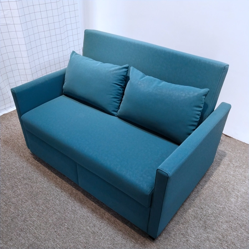 Removable Washable Slipcover Sofas Sofabed for Living Room Furniture