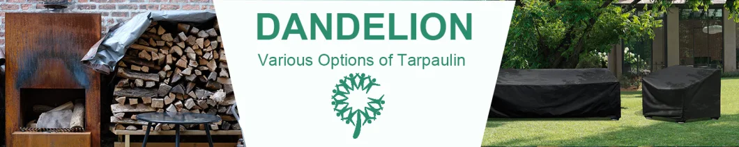 Dandelion Wholesale Custom Durable Waterproof Anti-UV Patio Loveseat Sofa Cover