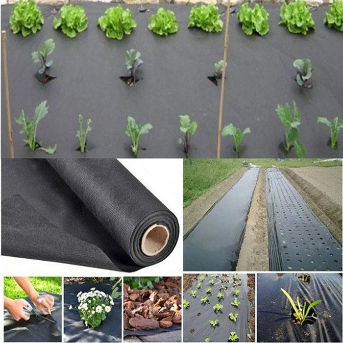 Garden Products Polypropylene Frost Protection Mulch Fleece Agriculture Non-Woven Fabric Tree Covers Fob Reference Price: Get Latest Price