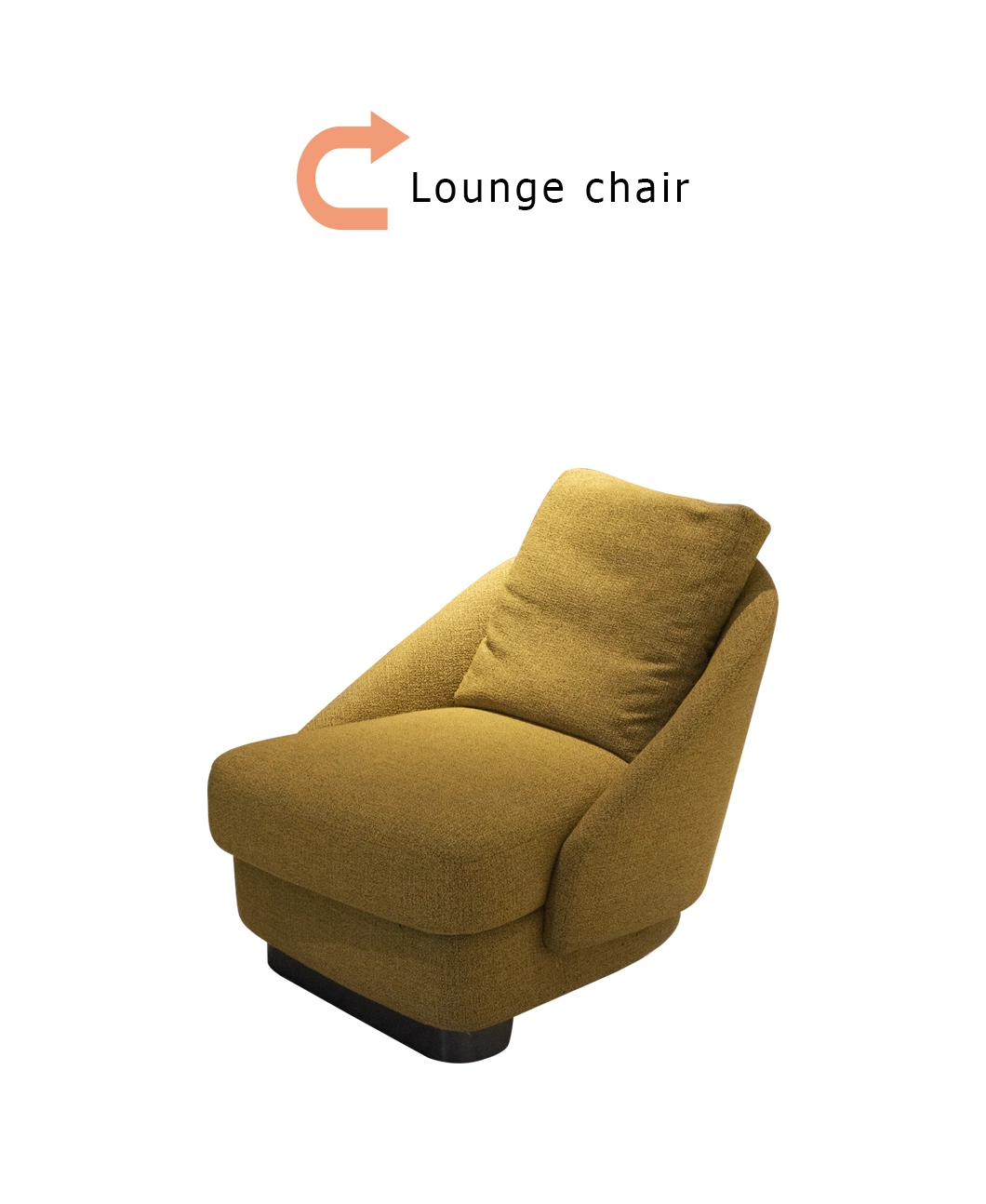 Home Furntiure Comfortable Relax Chair with Cushion for The Indoor Lounge Chair