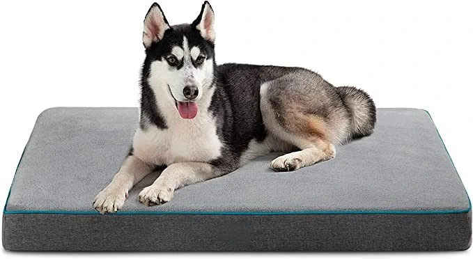 Foam Sofa with Removable Washable Cover, Waterproof Lining and Nonskid Bottom Couch, Pet Bed