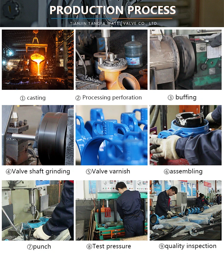 Wcb Pn16 Cast Iron Motorized Gate Valve