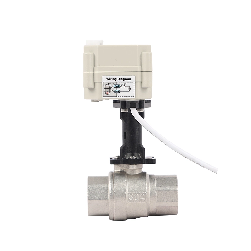 High Temperature 304 316 Stainless Steel 2 Way Mini Smart on-off Motorized 24V 12V DC Ball Valve Electric Actuator Thread Ball Valve with Bracket