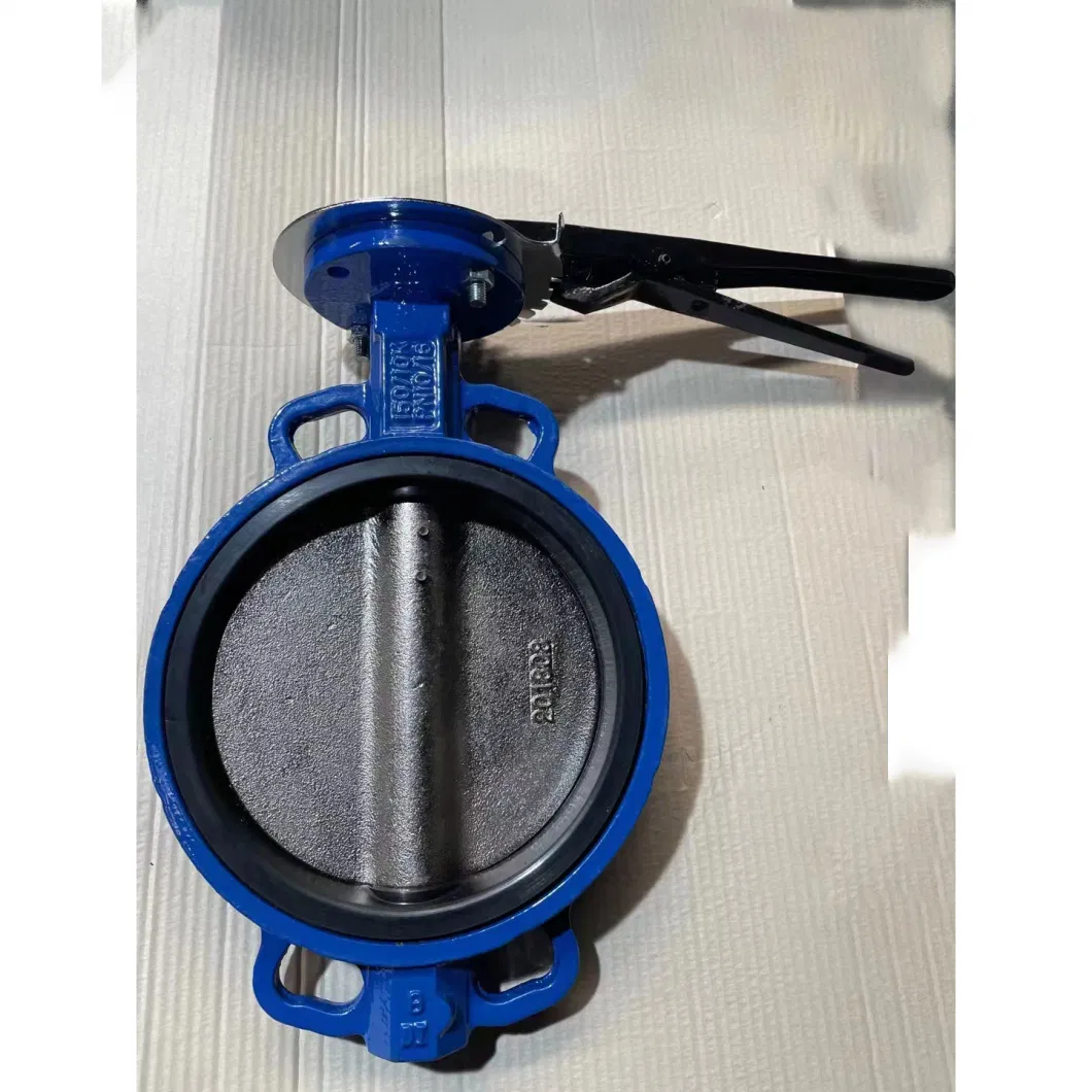 DIN API Cast Steel Cast Iron Ductile Iron Ggg40 Gg25 EPDM NBR Rubber DN 800 Electric Actuator Lug Wafer Butterfly Valve