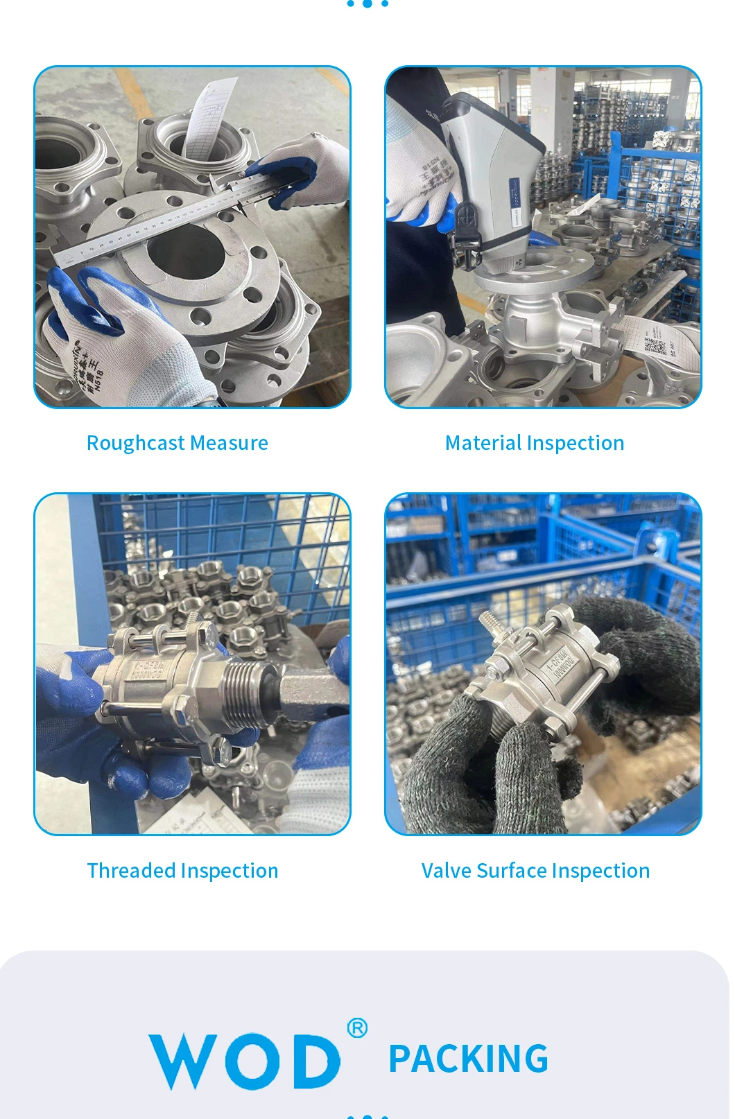 Actuated Strainless Steel Check Valve