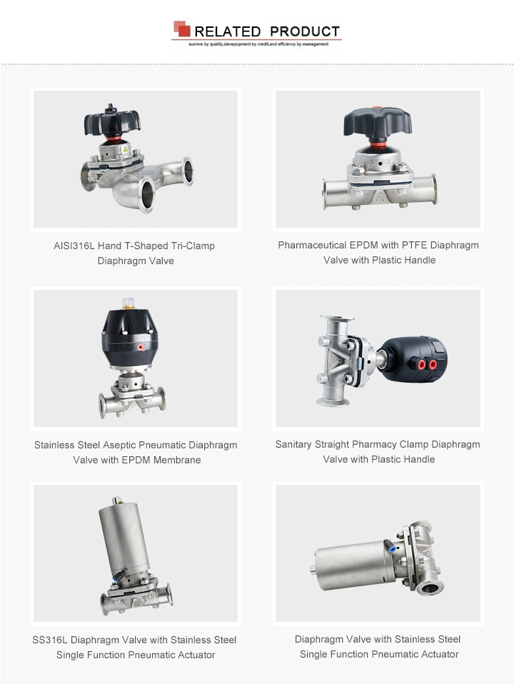 Hygienic Stainless Steel Clamped Pneumatic Actuator Diaphragm Valves
