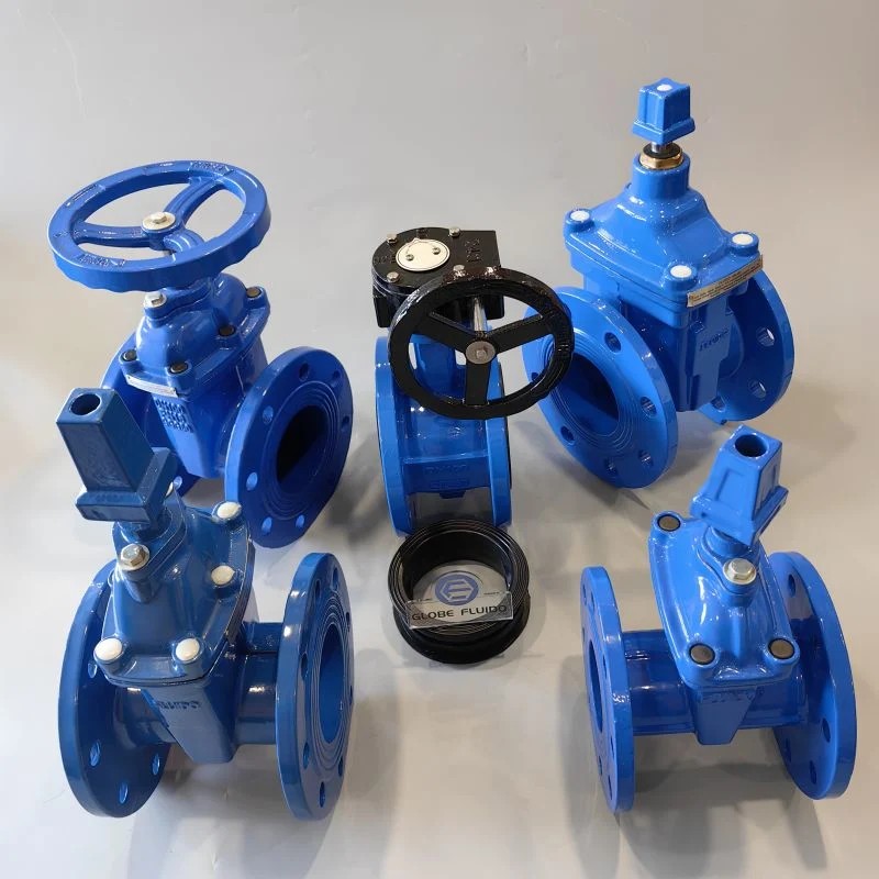 Pn16 DIN Swing Check Valve Flow Control Valves Ductile Iron One Way Check Valve