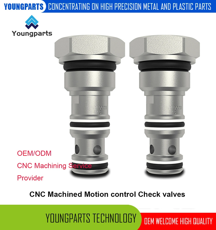 Precision CNC Lathed 2-Way Check Valves Direct Acting Solutions for Reliable Flow Control