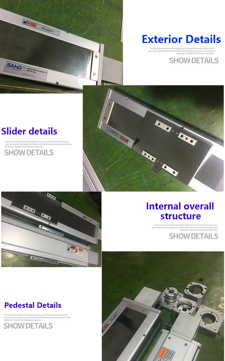 Customized Motorized Scb220 CNC Belt Type Linear Actuator for Application Such as Dispensing Machine