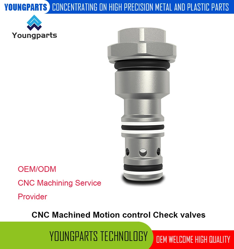 Precision CNC Lathed 2-Way Check Valves Direct Acting Solutions for Reliable Flow Control