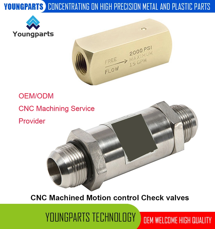 Precision CNC Lathed 2-Way Check Valves Direct Acting Solutions for Reliable Flow Control