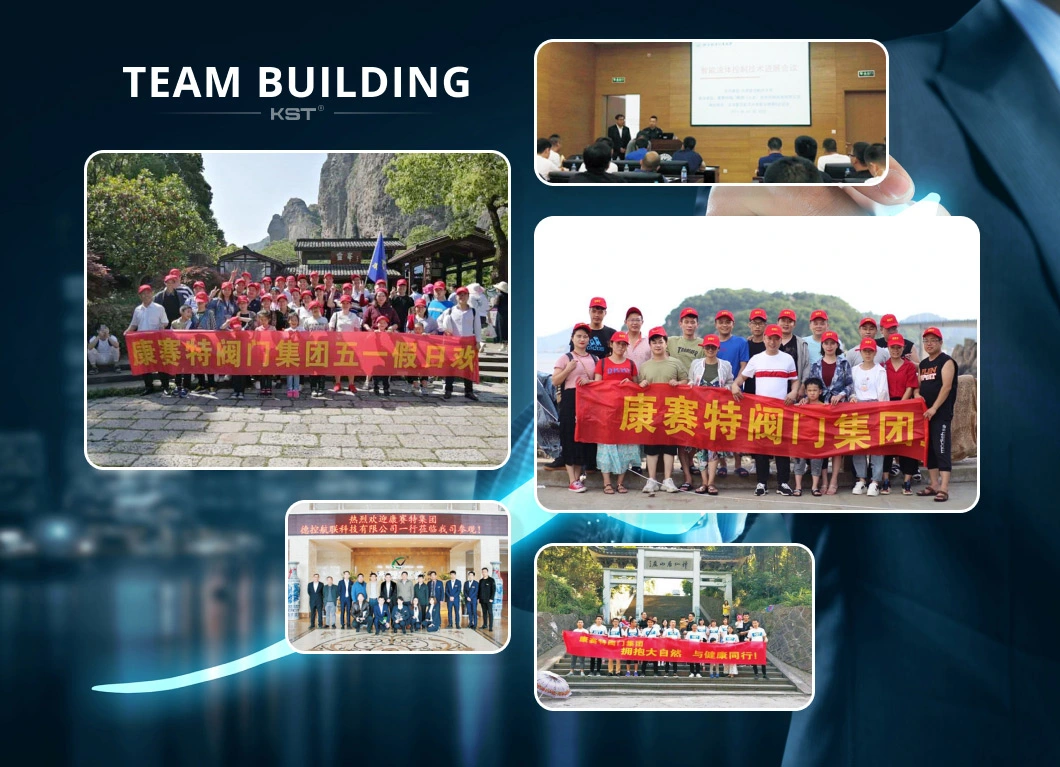 Wenzhou, China on-off Kst / Kt Dekon Tri Clamp Motorized Electric Ball Valve