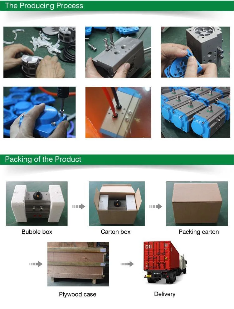 Hard Oxidation Color Customized Rack and Pinion Pneumatic Actuator