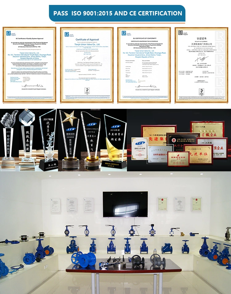 Wcb Pn16 Cast Iron Motorized Gate Valve