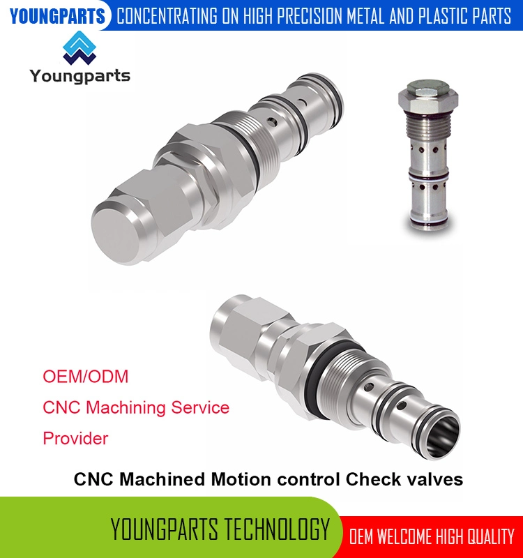 Precision CNC Lathed 2-Way Check Valves Direct Acting Solutions for Reliable Flow Control