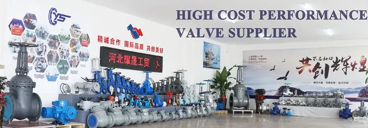 Motorized 220V 380V Cast Iron Butterfly Valve