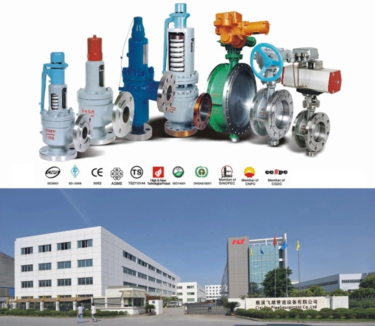 China Professional Valve Manufacturer Oil and Gas Gate Valve Electric Actuated