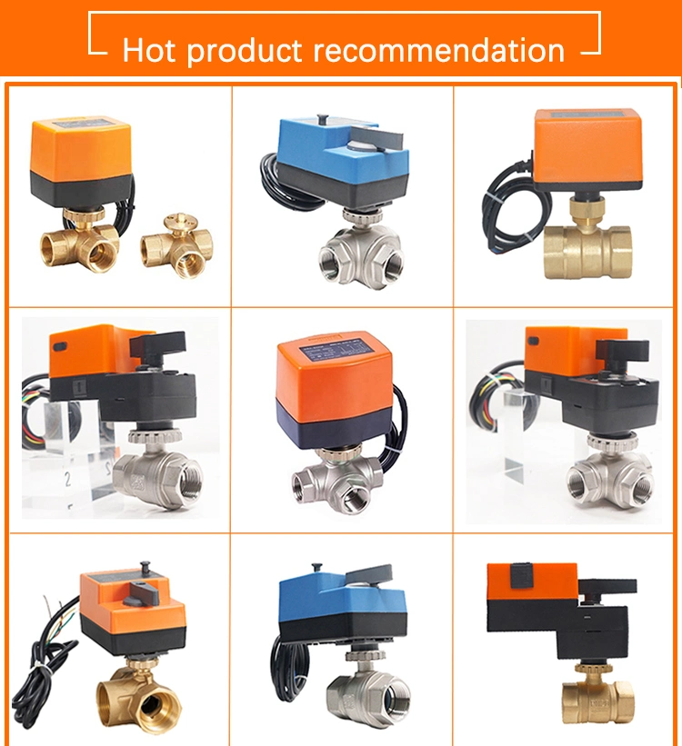 Winner Winvall DC 24V 12V 3V Motor Operated Actuator 2 Way Ball Valve Motorized Control Bass Valves