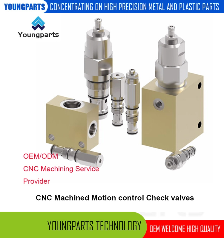 Precision CNC Lathed 2-Way Check Valves Direct Acting Solutions for Reliable Flow Control