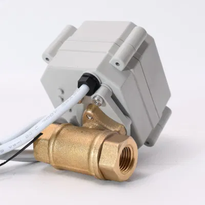  Baja tensión DC3V5V/DC/DC12 DN8 eléctrico motorizado en la válvula de bola