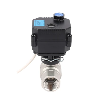  Instalación rápida Mini Smart de 2 vías, SS304 válvulas eléctricas ac 220V Motor válvula de bola de operación flujo de agua motorizada Acero inoxidable Válvula de bola