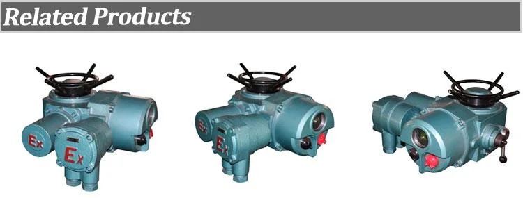 Electric Actuated Globe Valve for Thermal Oil Non-Instrusive Intellectualized Electric Actuators Hz/Xy10 Hz/Zy10 Hzd/Xy10