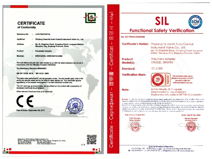 Pneumatic Actuator ISO9001 Importer Vid/Vie3845 Supplier