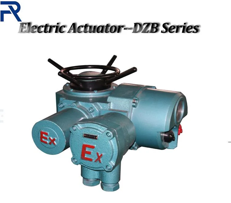 Electric Motor Actuator with Gate Valve for Municipal Industry Dzt15-24 Dzt20-18 Dzt30-18