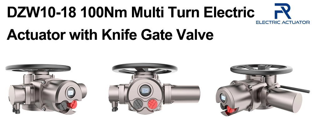 Dzw10-18 100nm Multi Turn Electric Actuator with Knife Gate Valve