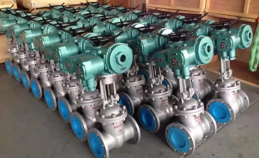 Electric Motor Actuator with Gate Valve for Municipal Industry Dzt15-24 Dzt20-18 Dzt30-18