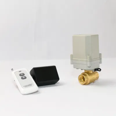 DN15 valvola attuatore elettrico della valvola di controllo remoto wireless in ottone