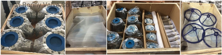 Soft Seat Pneumatic Actuated Ductile Cast Iron Air Control Valve/Gate Valve/Check Valve/Butterfly Valve