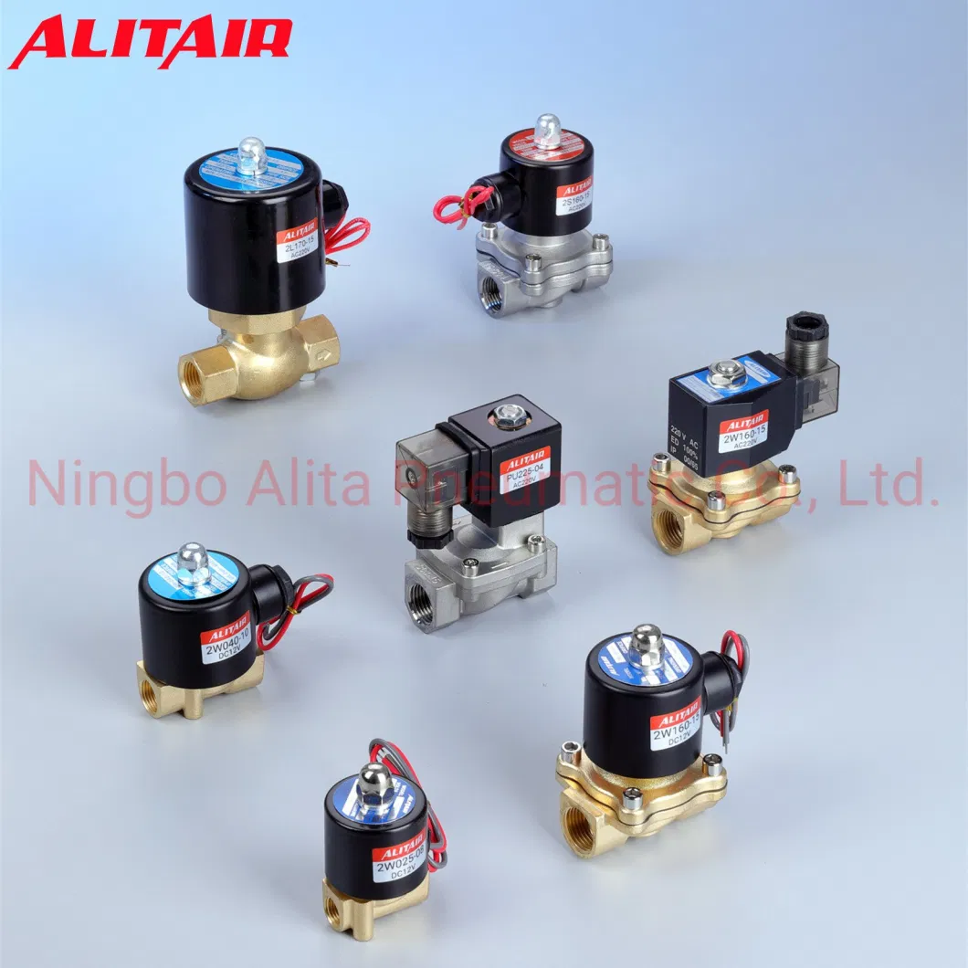 Electric 12V 24V Bsp NPT Normally Closed 2 Way Diaphragm Magnetic Control Brass Gas Air Water Solenoid Operated Valve