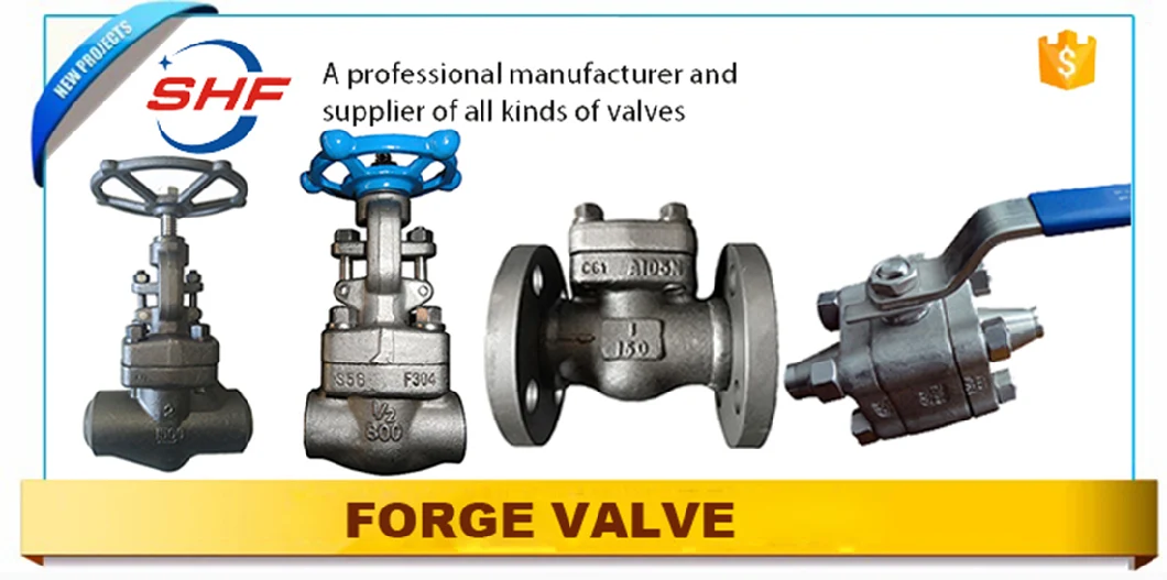 API 602 Flange End Hand Wheel Operated Forged F304 Globe Valve