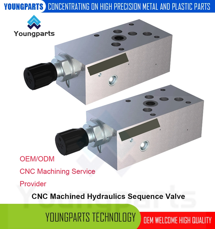 High-Precision CNC Machined Stainless Steel Pilot-Operated Balanced Piston Sequence Valve