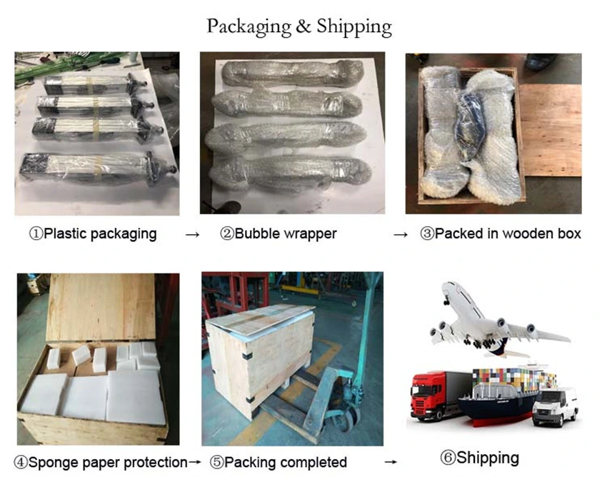 Industrial Use High Thrust Servo Electric Cylinder Dgr Linear Actuator