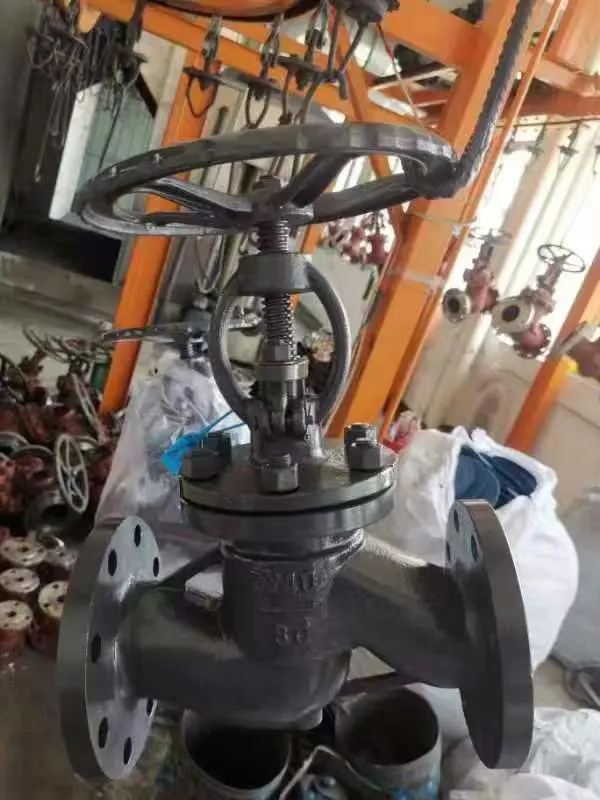 Manual Operated Cast Steel Wcb Stainless Steel Seal Globe Valve