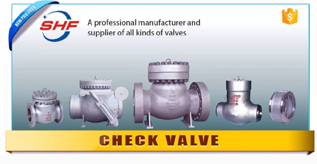 Flow Control Water System Globe Silent Check Valve