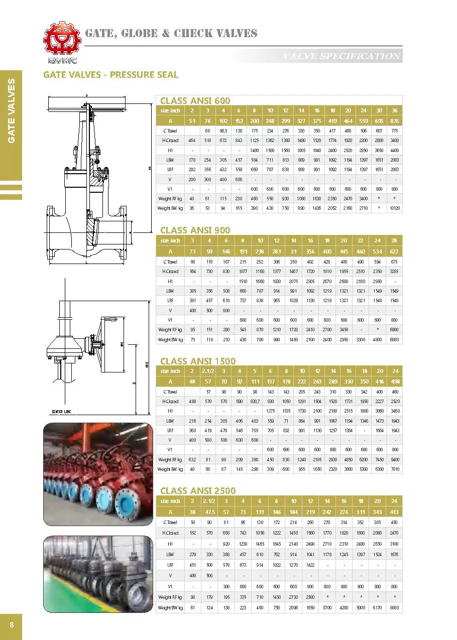 ANSI/API/ASTM/ASME/Wcb Flange Cast Steel Bevel Gear Operated Gate Valve