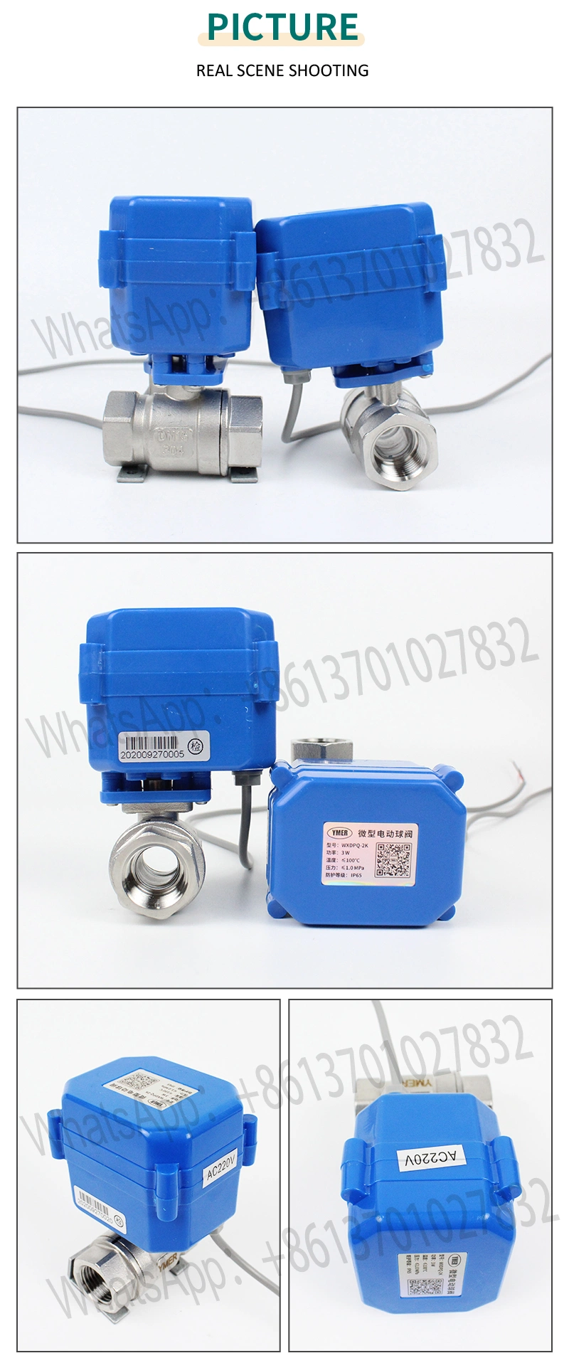 AC220V Mini Motorized Electrical Ball Valve