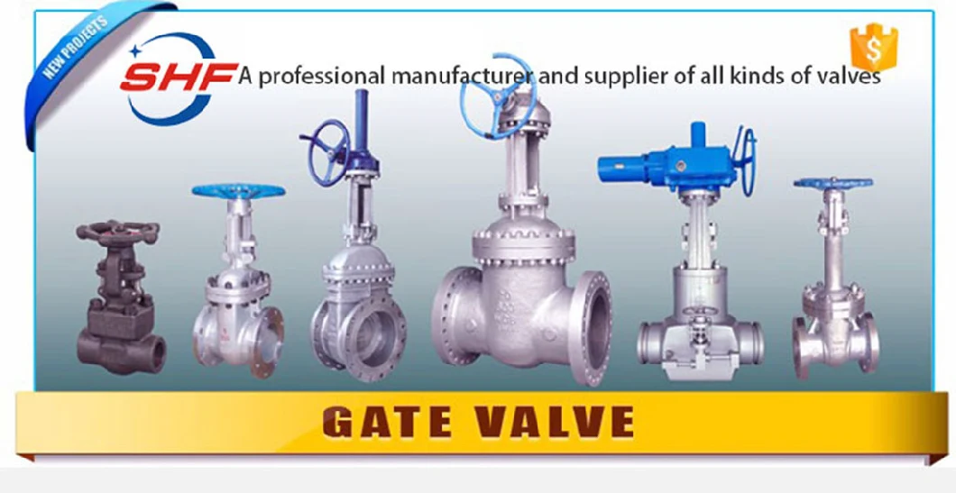 DIN Pn16 Flange on off Type Multi Turn Motorized Electric Actuator Gate Valve